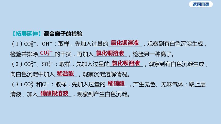 20-第十单元 微专题九 物质的检验和鉴别课件-2025年中考化学一轮复习第7页