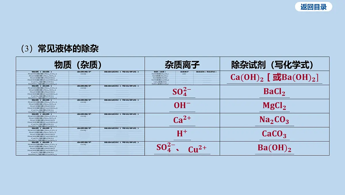 21-第十单元 微专题十 物质的除杂和分离课件-2025年中考化学一轮复习第6页