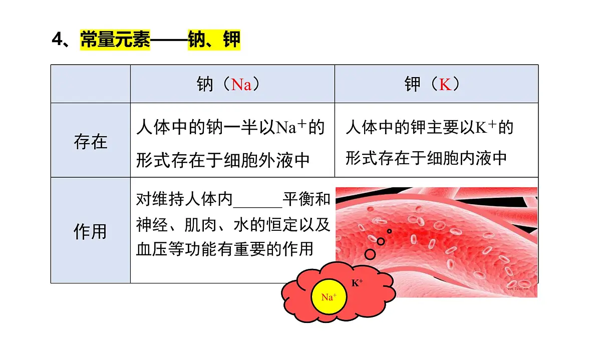 11.1化学元素与人体健康---2024-2025学年九年级化学人教版（2024）下册 课件第6页
