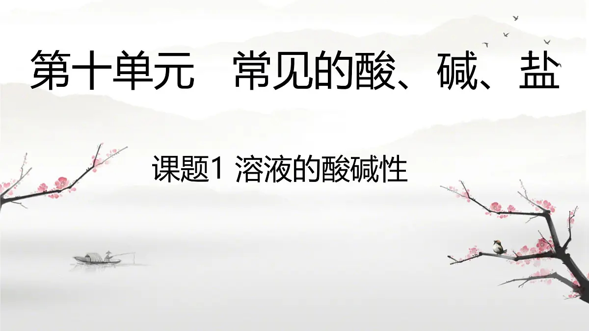 10.1 溶液的酸碱性（课件）-2024-2025学年九年级化学人教版下册第1页