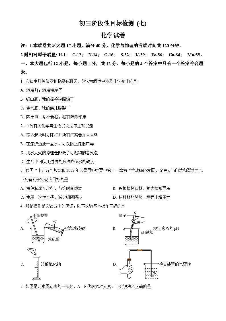 安徽省六安市皋城中学2024-2025学年九年级下学期3月月考化学试题（原卷版+解析版）第1页
