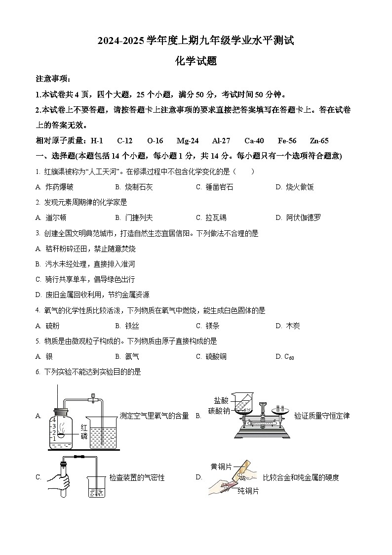 河南省信阳市淮滨县2024-2025学年九年级上学期1月期末化学试题（原卷版+解析版）第1页