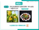 9.3 常見的堿（同步課件）2025學年九年級化學下冊（北京版2024）