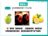 9.2常見的酸（同步課件）2025學年九年級化學下冊（北京版2024）
