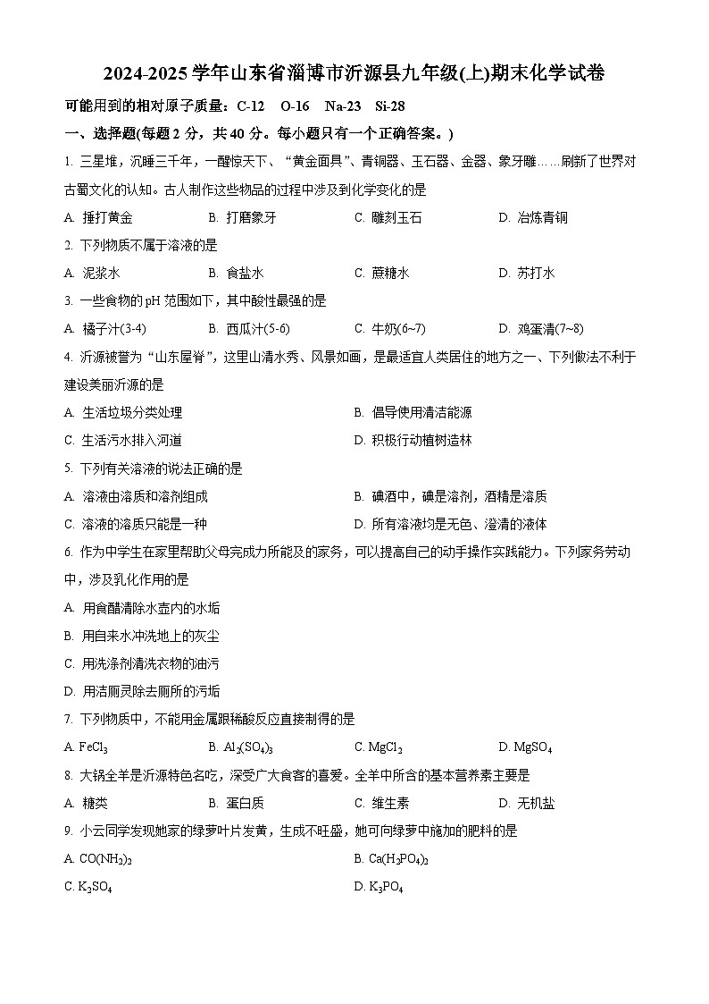 山东省淄博市沂源县2024-2025学年九年级上学期期末化学试题（原卷版+解析版）第1页