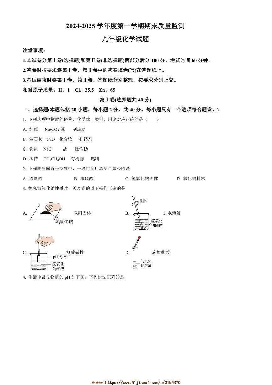 2024～2025学年山东省泰安市宁阳县九年级上期末化学试卷(含答案)第1页