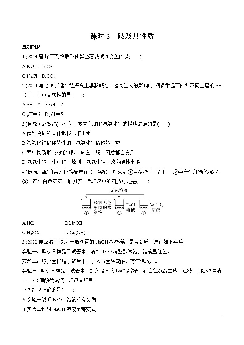 14.第八单元　课时2　碱及其性质分层作业 2025年中考化学鲁教版第1页