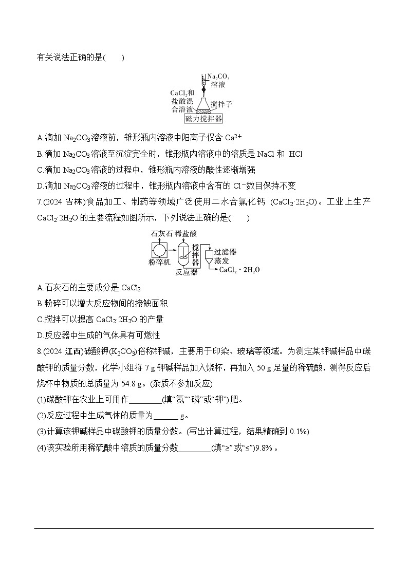 17.第九单元　课时2　常见的盐(一)分层作业 2025年中考化学鲁教版第2页