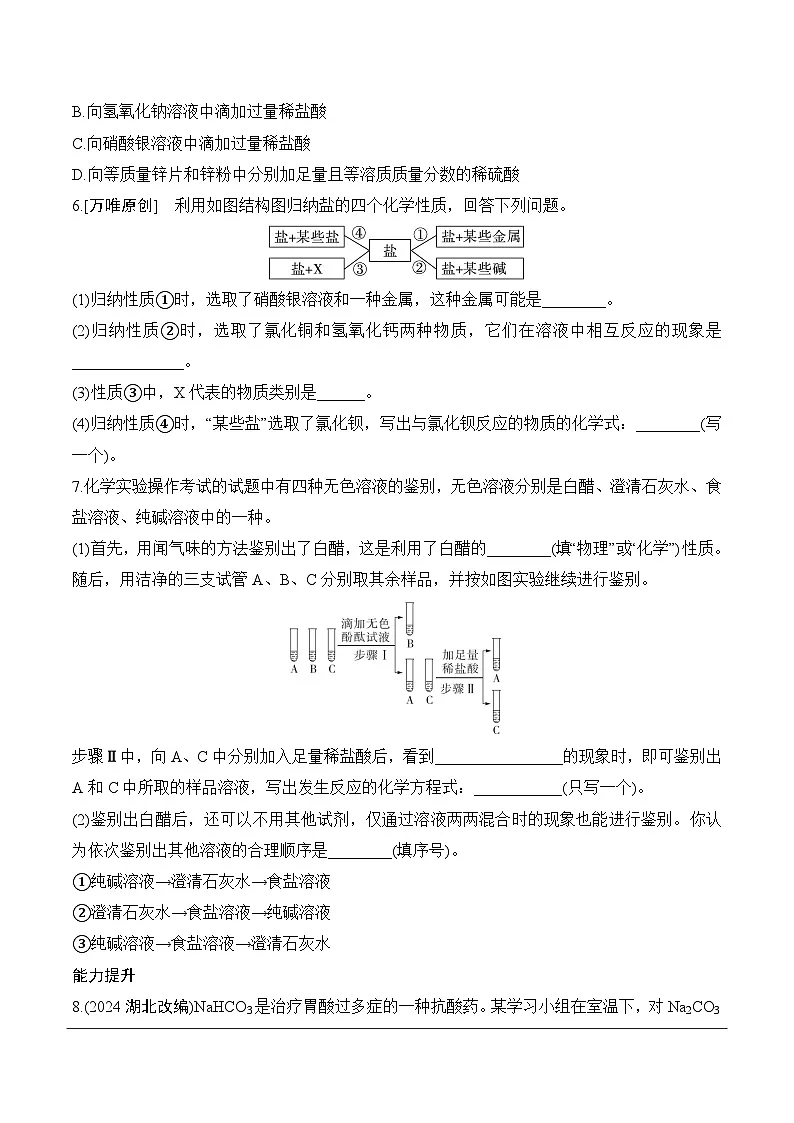 18.第九单元　课时2　常见的盐(二)分层作业 2025年中考化学鲁教版第2页
