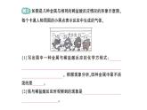 初中化學(xué)新科粵版九年級(jí)下冊(cè)6.2 金屬的化學(xué)性質(zhì)作業(yè)課件2025春