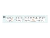 初中化學(xué)新科粵版九年級(jí)下冊(cè)6.3 金屬礦物與金屬冶煉作業(yè)課件2025春