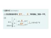 初中化學新科粵版九年級下冊6.4 金屬的腐蝕作業(yè)課件2025春