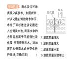 初中化學(xué)新科粵版九年級(jí)下冊(cè)7.3 溶液濃稀的表示作業(yè)課件2025春
