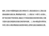 初中化學(xué)新科粵版九年級下冊7.4 跨學(xué)科實踐活動：海洋資源的綜合利用與制鹽作業(yè)課件2025春