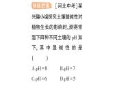 初中化學(xué)新科粵版九年級(jí)下冊(cè)8.1 溶液的酸堿性作業(yè)課件2025春