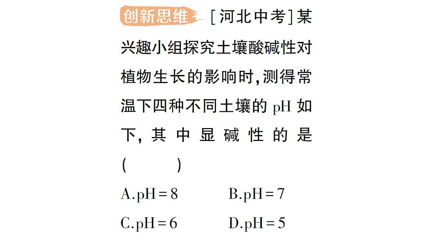 初中化学新科粤版九年级下册8.1 溶液的酸碱性作业课件2025春第5页