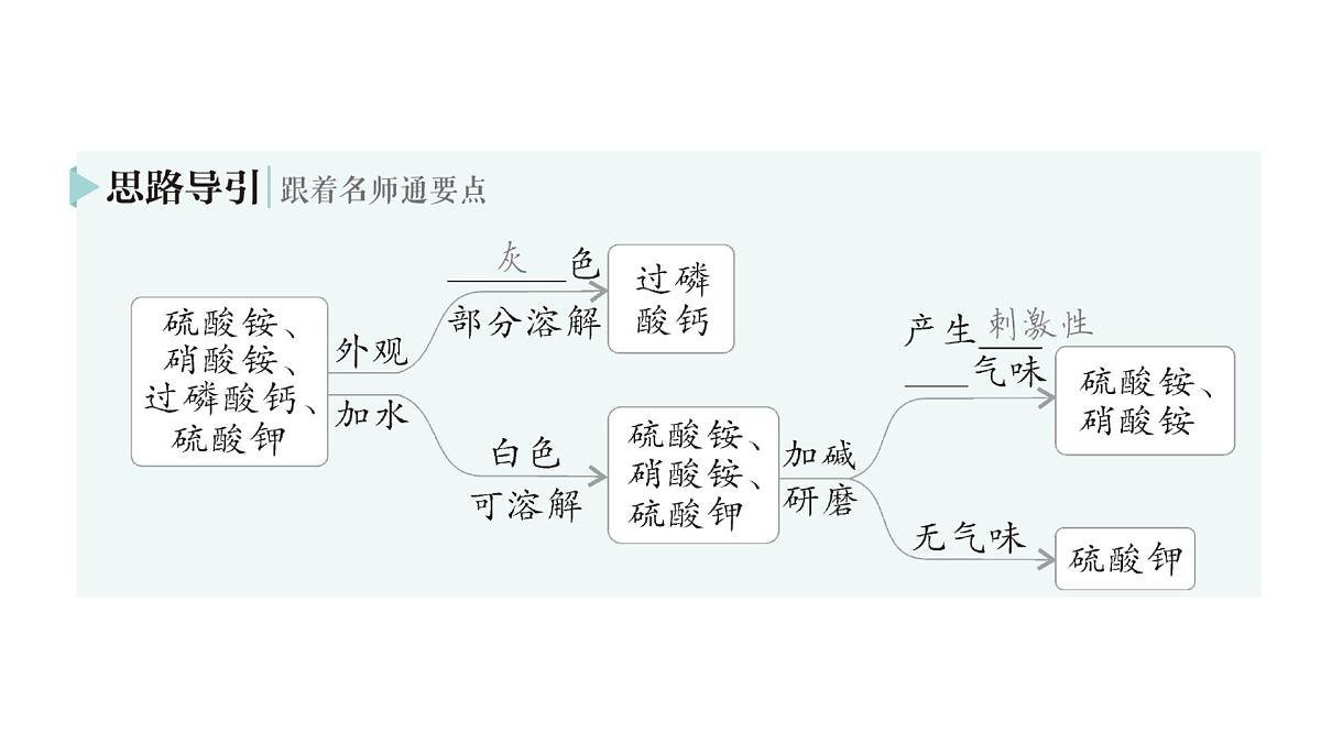 初中化学新科粤版九年级下册8.5 化学肥料作业课件2025春第6页