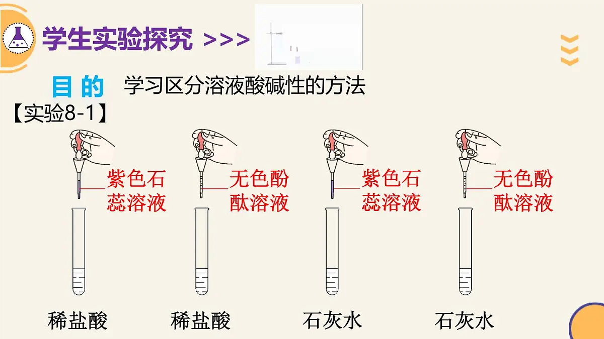 8.1溶液的酸碱性 2025学年九年级化学科粤版（2024）下册课件第4页