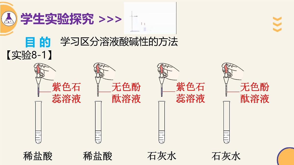 8.1溶液的酸碱性 2025学年九年级化学科粤版（2024）下册课件第4页