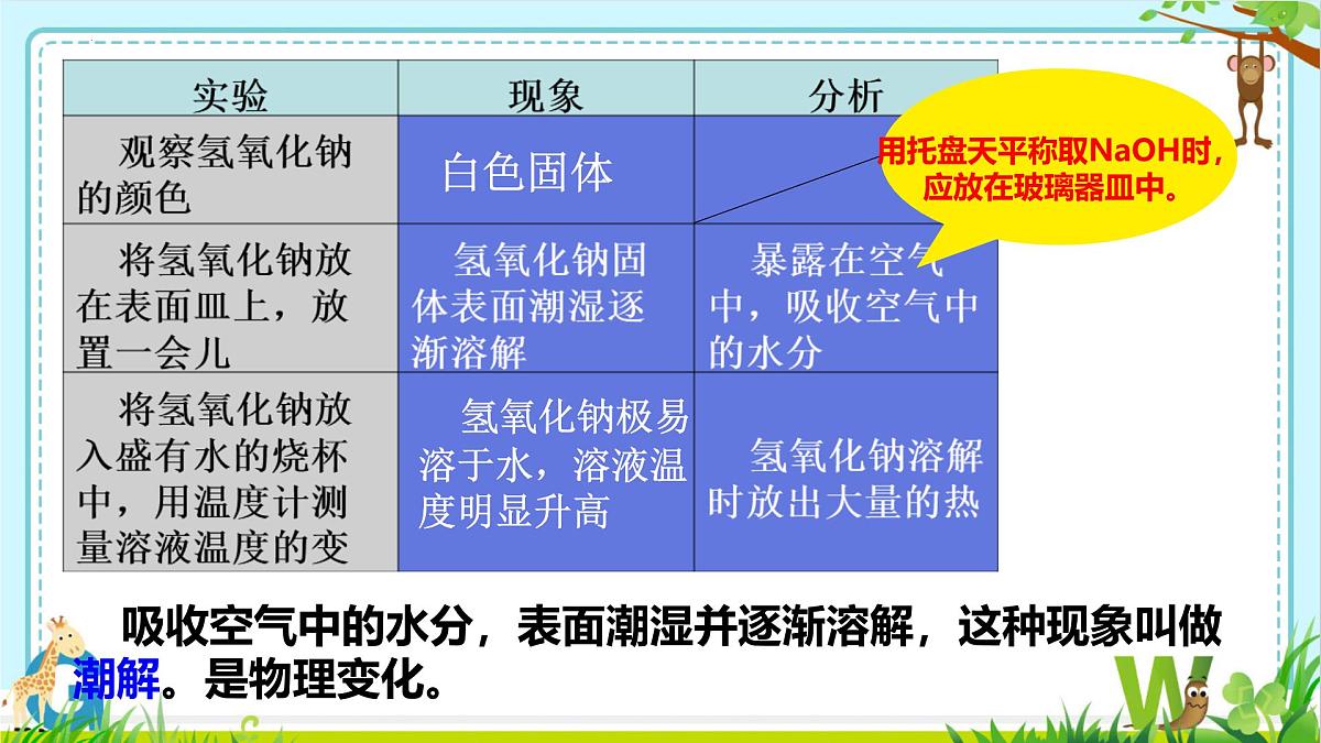2025年盐城中考化学（人教版）总复习《第二部分专题19常见的碱》 课件第6页