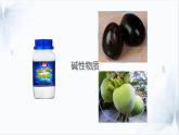 10.1溶液的酸堿性課件---2024-2025學年九年級化學人教版（2024）下冊