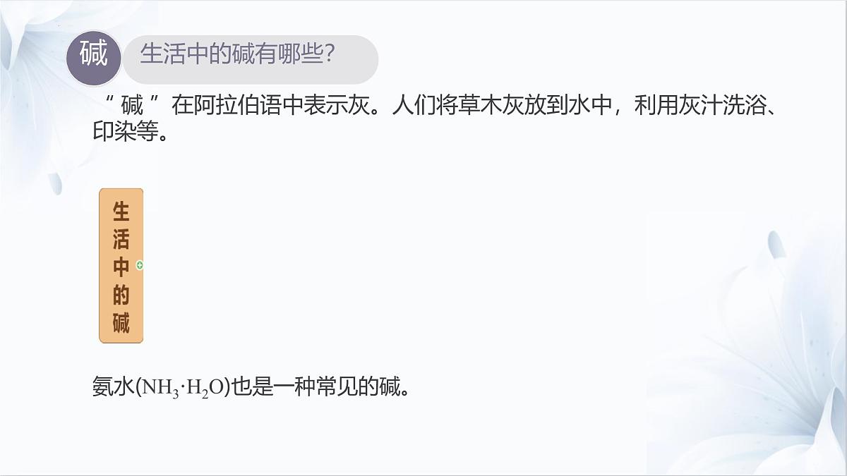 10.1溶液的酸碱性课件---2024-2025学年九年级化学人教版（2024）下册第5页