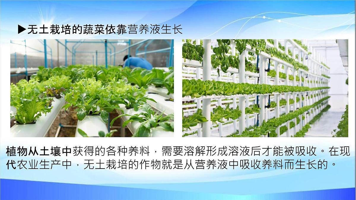 9.1溶液及其应用第二课时课件-2024-2025学年九年级化学人教版下册第7页