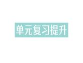 初中化學(xué)新科粵版九年級下冊第六單元復(fù)習(xí)提升作業(yè)課件2025春