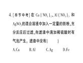 初中化學(xué)新科粵版九年級下冊第六單元測試題作業(yè)課件2025春