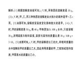 初中化學(xué)新科粵版九年級下冊第七單元專題二 溶解度曲線及其應(yīng)用作業(yè)課件2025春