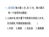 初中化學(xué)新科粵版九年級下冊第七單元測試題作業(yè)課件2025春