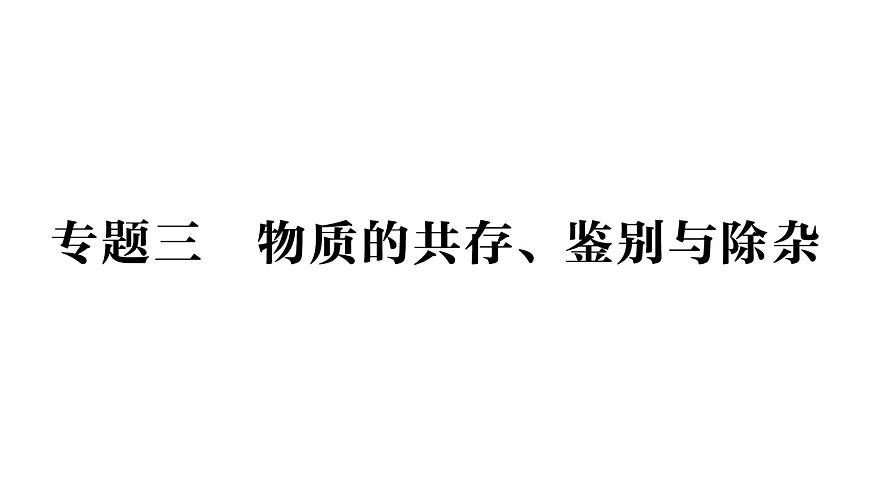 初中化学新科粤版九年级下册第八单元专题三 物质的共存、鉴别与除杂作业课件2025春第1页