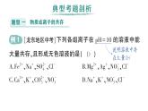 初中化學新科粵版九年級下冊第八單元專題三 物質的共存、鑒別與除雜作業(yè)課件2025春
