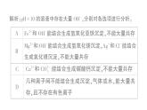 初中化學新科粵版九年級下冊第八單元專題三 物質的共存、鑒別與除雜作業(yè)課件2025春