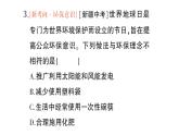 初中化學(xué)新科粵版九年級下冊第九單元測試題作業(yè)課件2025春