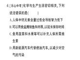 初中化學(xué)新科粵版九年級下冊第九單元測試題作業(yè)課件2025春