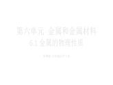 初中化學(xué)新科粵版九年級下冊6.1 金屬的物理性質(zhì)教學(xué)課件2025春