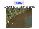 初中化學新科粵版九年級下冊7.2第3課時 氣體物質的溶解度教學課件2025春