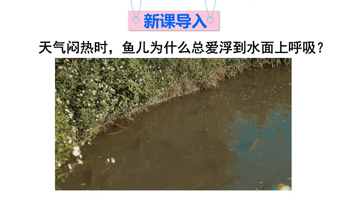 初中化学新科粤版九年级下册7.2第3课时 气体物质的溶解度教学课件2025春第2页