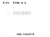 初中化學(xué)新科粵版九年級(jí)下冊(cè)8.1 溶液的酸堿性教學(xué)課件2025春