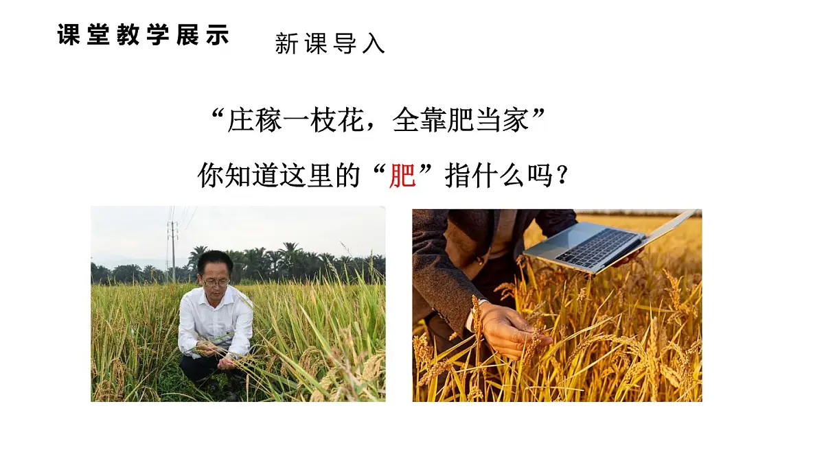 初中化学新科粤版九年级下册8.5 化学肥料教学课件2025春第3页