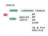 初中化學(xué)新科粵版九年級(jí)下冊(cè)8.5 化學(xué)肥料教學(xué)課件2025春