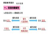 初中化學新科粵版九年級下冊第八章章末復習教學課件2025春