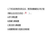 初中化學(xué)新科粵版九年級(jí)下冊(cè)8.3 習(xí)題教學(xué)課件2025春