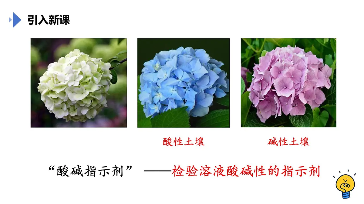 第十单元课题1溶液的酸碱性（2课时） 2025学年九年级化学人教版下册 课件第2页