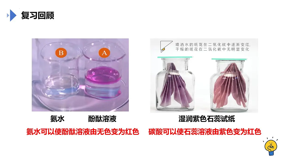 第十单元课题1溶液的酸碱性（2课时） 2025学年九年级化学人教版下册 课件第4页