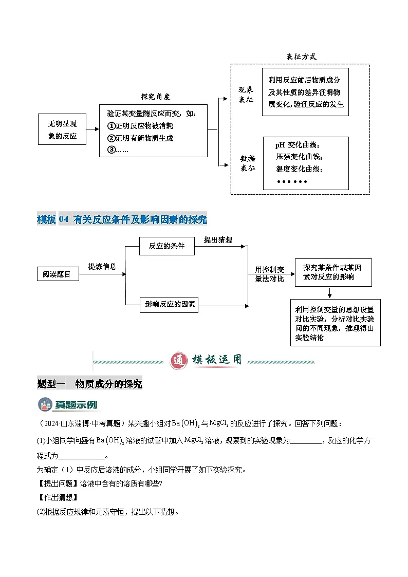 专题08 实验探究题-2025年中考化学答题技巧与模板构建（全国通用）（解析版）第3页