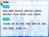 【人教版】九下化學(xué) 實驗活動8 常見酸、堿的化學(xué)性質(zhì)（課件+練習(xí)）