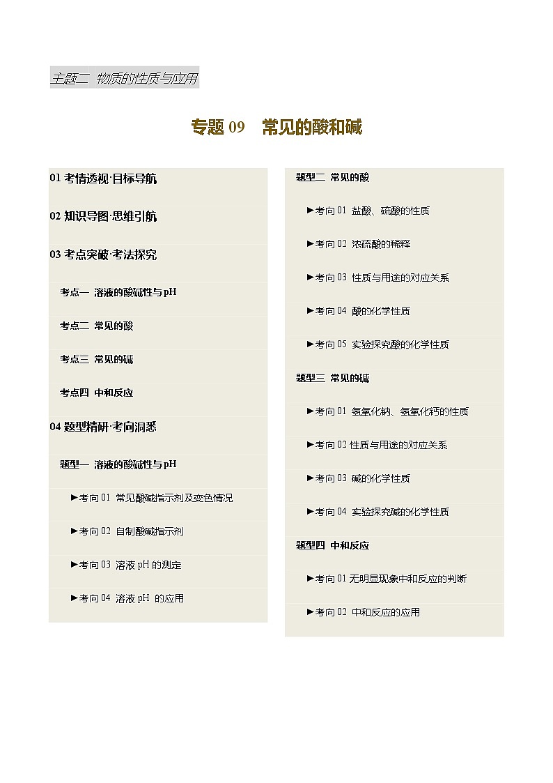 专题09 常见的酸和碱（讲义）（原卷版）第1页