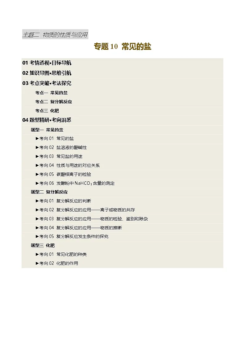 专题10 常见的盐（讲义）（原卷版）第1页